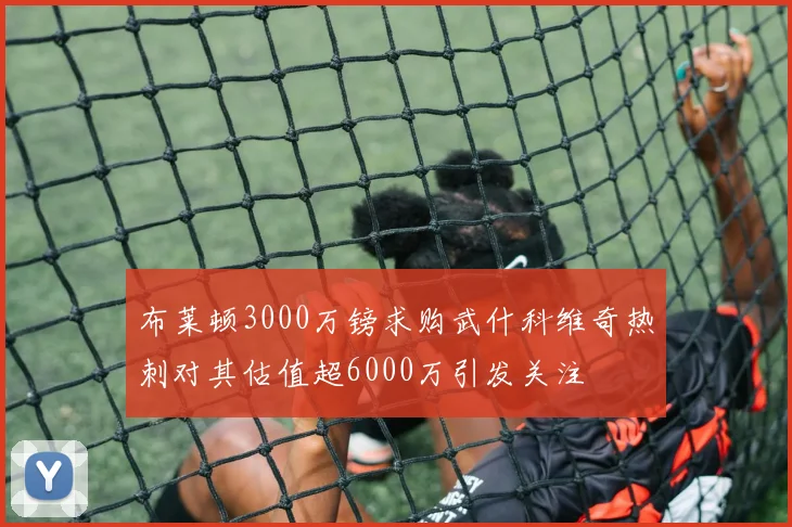 布莱顿3000万镑求购武什科维奇热刺对其估值超6000万引发关注
